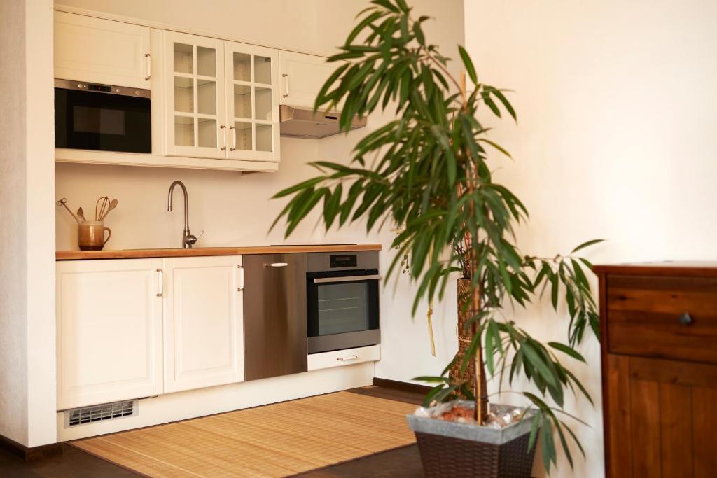 Fruehstueckspension Kleinschuster Burgau Phòng bức ảnh